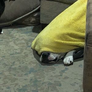 Meet your Posher, Nathan